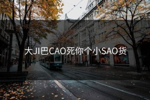 大JI巴CAO死你个小SAO货