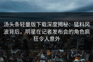 汤头条轻量版下载深度揭秘：猛料风波背后，明星在记者发布会的角色疯狂令人意外