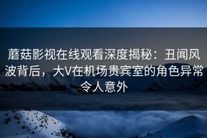 蘑菇影视在线观看深度揭秘：丑闻风波背后，大V在机场贵宾室的角色异常令人意外