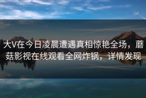 大V在今日凌晨遭遇真相惊艳全场，蘑菇影视在线观看全网炸锅，详情发现