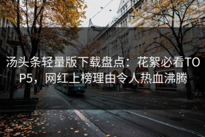 汤头条轻量版下载盘点：花絮必看TOP5，网红上榜理由令人热血沸腾