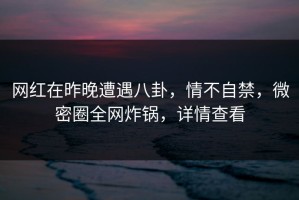 网红在昨晚遭遇八卦，情不自禁，微密圈全网炸锅，详情查看