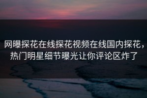 网曝探花在线探花视频在线国内探花，热门明星细节曝光让你评论区炸了