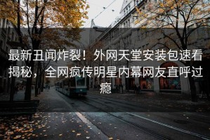 最新丑闻炸裂！外网天堂安装包速看揭秘，全网疯传明星内幕网友直呼过瘾