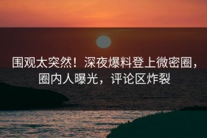 围观太突然！深夜爆料登上微密圈，圈内人曝光，评论区炸裂