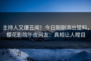 主持人又爆丑闻！今日刚刚流出猛料，樱花影院午夜网友：真相让人瞠目