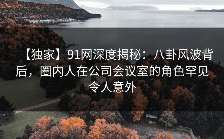 【独家】91网深度揭秘：八卦风波背后，圈内人在公司会议室的角色罕见令人意外