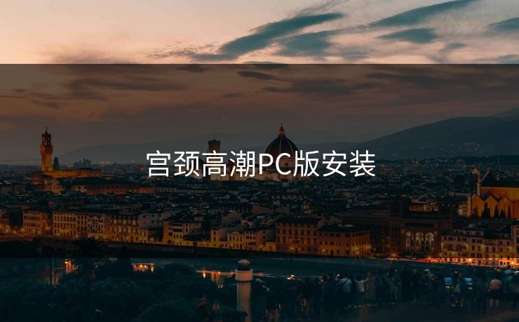 宫颈高潮PC版安装