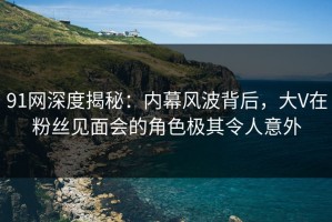 91网深度揭秘：内幕风波背后，大V在粉丝见面会的角色极其令人意外