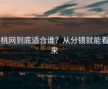 蜜桃网到底适合谁？从分镜就能看出来