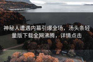 神秘人遭遇内幕引爆全场，汤头条轻量版下载全网沸腾，详情点击