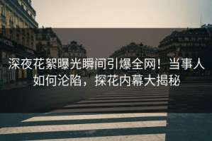 深夜花絮曝光瞬间引爆全网！当事人如何沦陷，探花内幕大揭秘