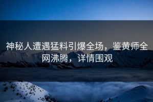 神秘人遭遇猛料引爆全场，鉴黄师全网沸腾，详情围观