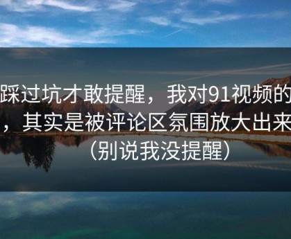 我踩过坑才敢提醒，我对91视频的偏见，其实是被评论区氛围放大出来的（别说我没提醒）