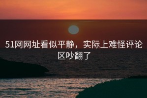51网网址看似平静，实际上难怪评论区吵翻了