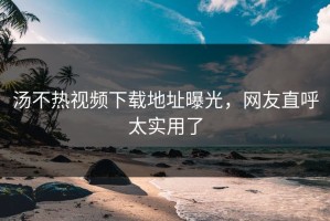 汤不热视频下载地址曝光，网友直呼太实用了