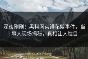 深夜刚刚！黑料网实锤花絮事件，当事人现场揭秘，真相让人瞠目