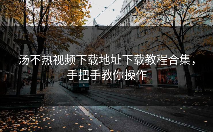 汤不热视频下载地址下载教程合集，手把手教你操作
