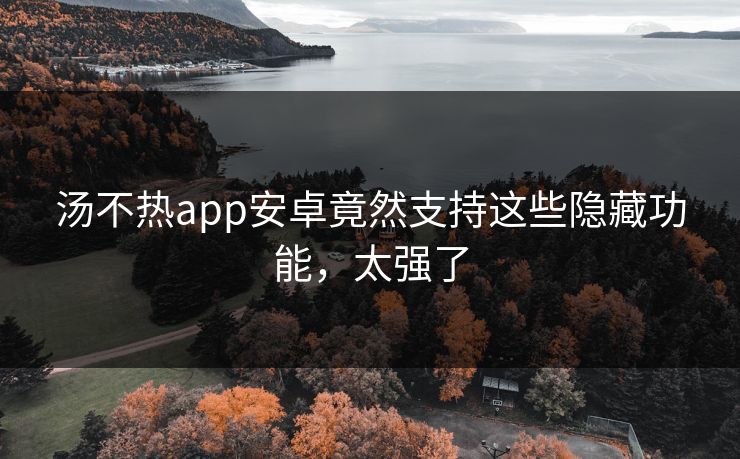 汤不热app安卓竟然支持这些隐藏功能，太强了