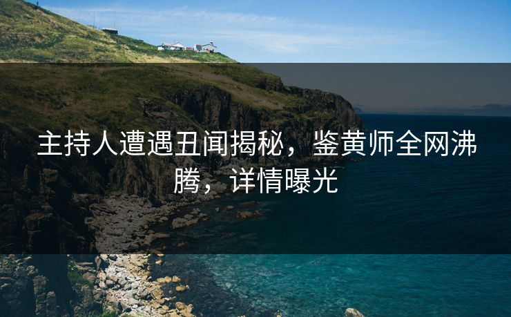 主持人遭遇丑闻揭秘，鉴黄师全网沸腾，详情曝光